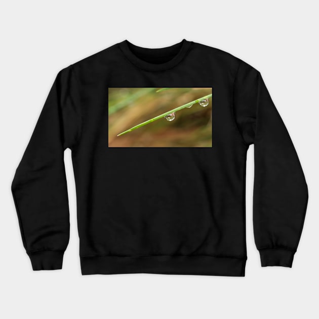 Morning Dew on Grass Crewneck Sweatshirt by mariola5